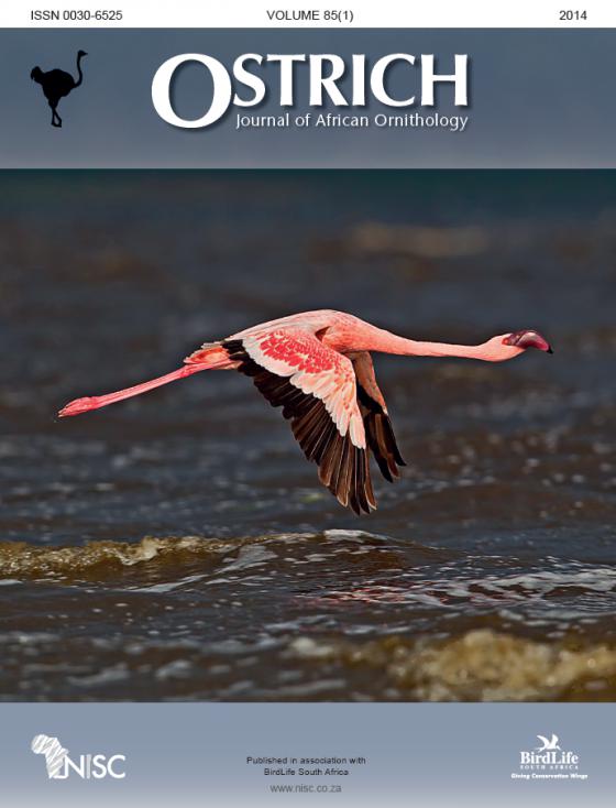 Ostrich Journal Cover Competition Winner