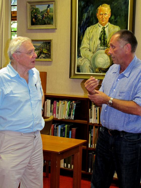 Special issue of Ostrich in memory of Philip Hockey