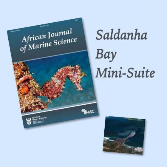 Saldanha Bay - A mini-suite of papers