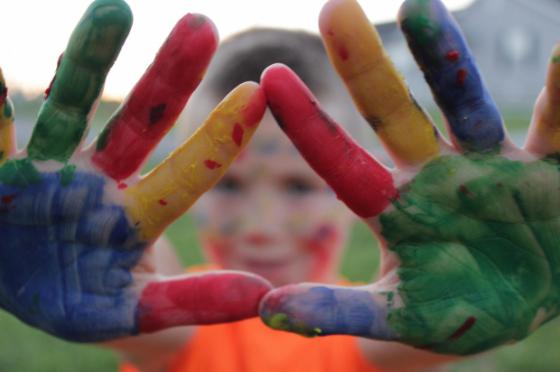 Expanded Aims and Scope for NISC Journal