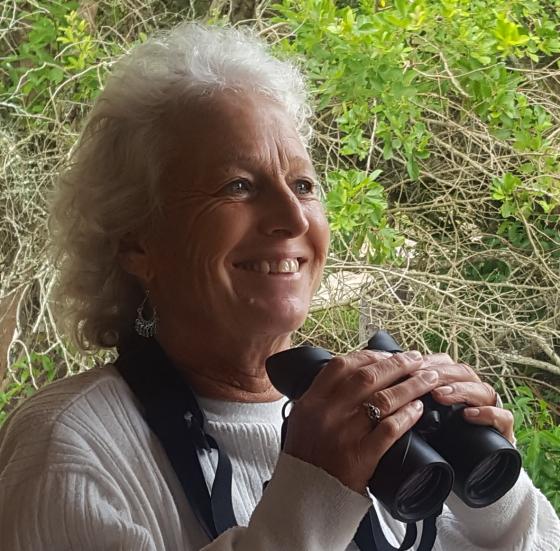 Grass patch heights supporting herbivores