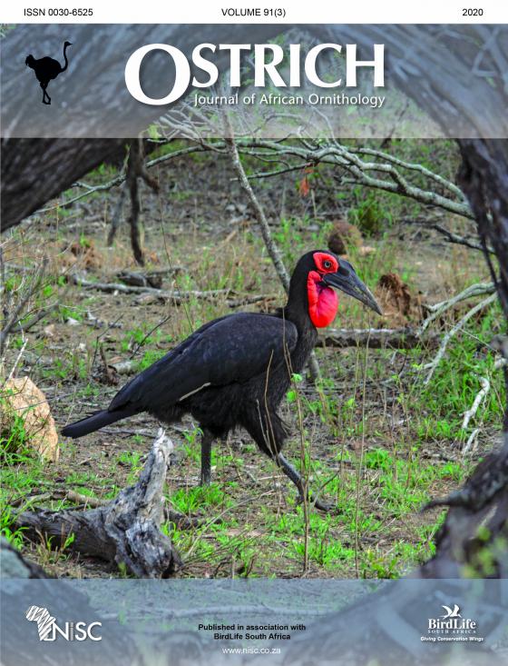 Celebration: 90 Years of Ostrich 